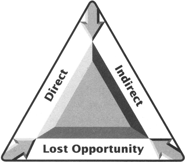 Cost of the Problem