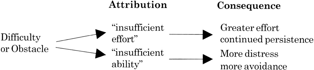 Attribution - Consequence