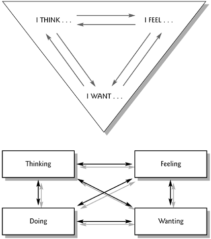 Thinking, Feeling, and Wanting Interacting